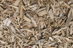 biomass boilers Butterlope